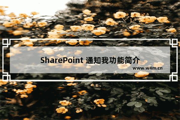 SharePoint 通知我功能简介