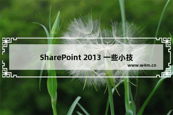 SharePoint 2013 一些小技巧