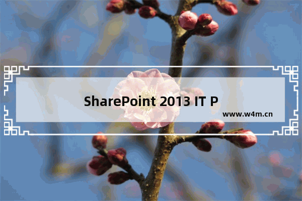 SharePoint 2013 IT Professional - Limited Access