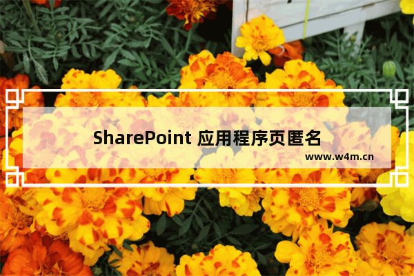 SharePoint 应用程序页匿名