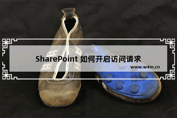 SharePoint 如何开启访问请求