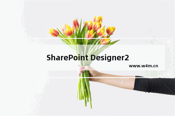 SharePoint Designer2007怎么制作表单表头?