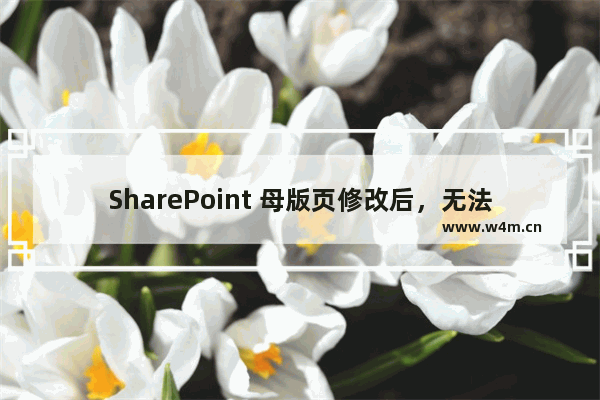 SharePoint 母版页修改后，无法添加应用程序