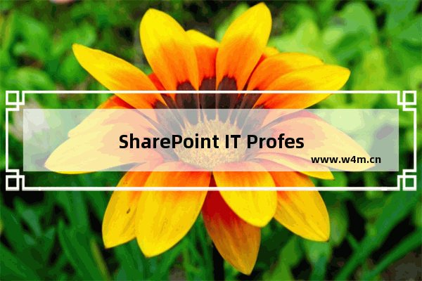 SharePoint IT Professional - Library/List Filter