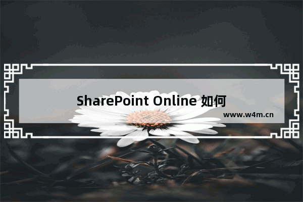 SharePoint Online 如何创建资产库