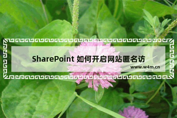 SharePoint 如何开启网站匿名访问图文详解