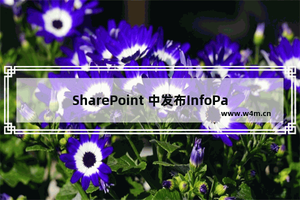 SharePoint 中发布InfoPath表单，并添加后台代码