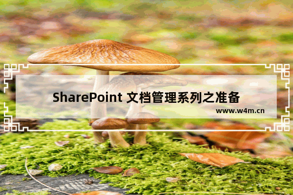 SharePoint 文档管理系列之准备篇