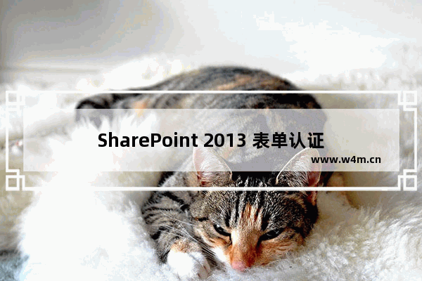 SharePoint 2013 表单认证使用ASP.Net配置工具添加用户