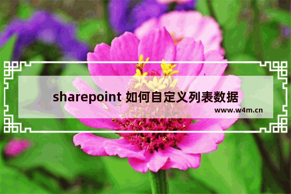 sharepoint 如何自定义列表数据的增删改查常用操作 server object model