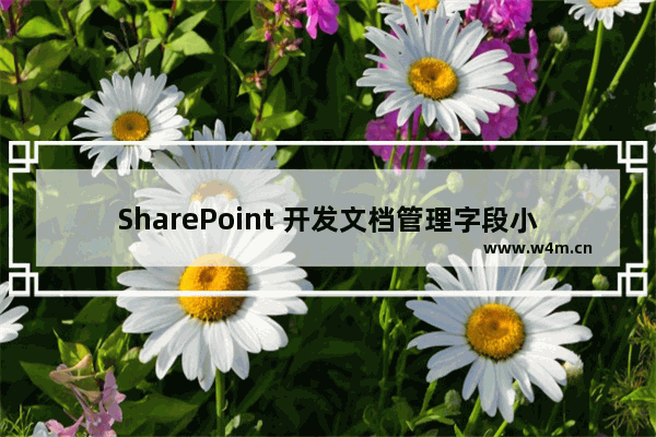 SharePoint 开发文档管理字段小记