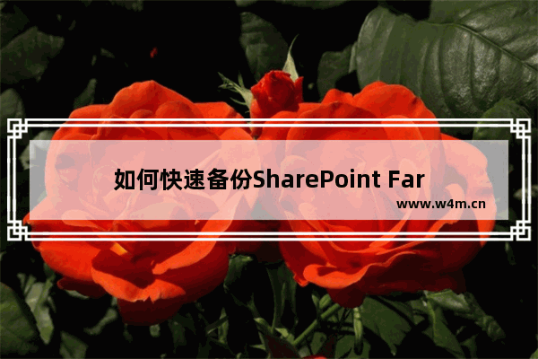 如何快速备份SharePoint Farm Solution