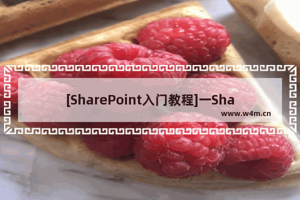 [SharePoint入门教程]一SharePoint发展、工具及术语