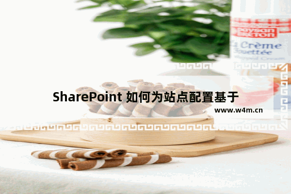 SharePoint 如何为站点配置基于主机标头的双域名