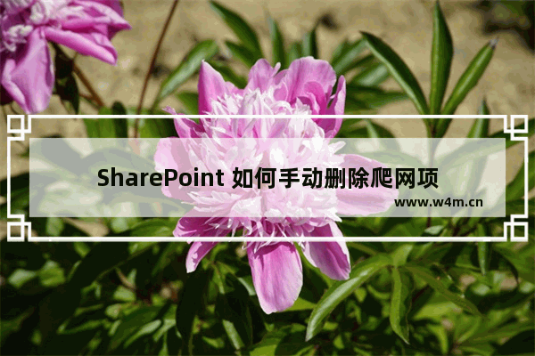 SharePoint 如何手动删除爬网项目