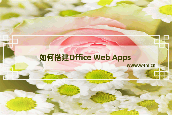 如何搭建Office Web Apps Server2013，并在SharePoint2013中集成使用