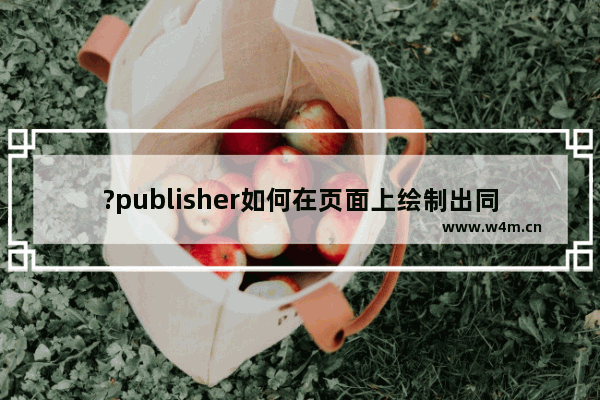 ?publisher如何在页面上绘制出同心圆