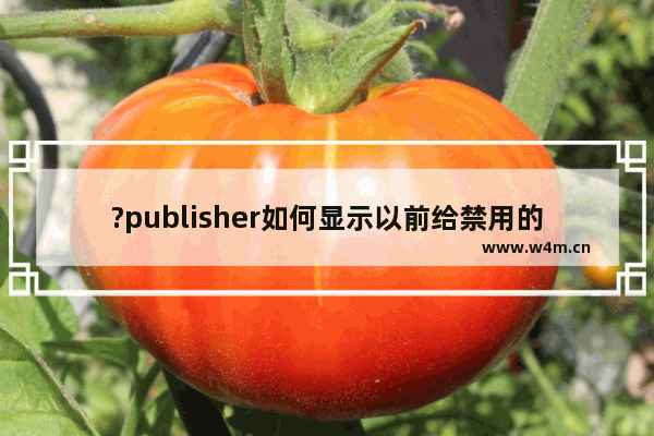 ?publisher如何显示以前给禁用的警报