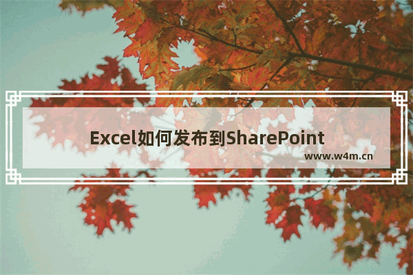 Excel如何发布到SharePoint