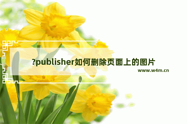 ?publisher如何删除页面上的图片