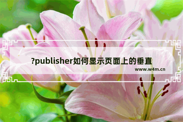 ?publisher如何显示页面上的垂直基准线