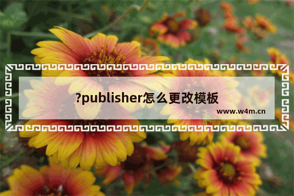 ?publisher怎么更改模板