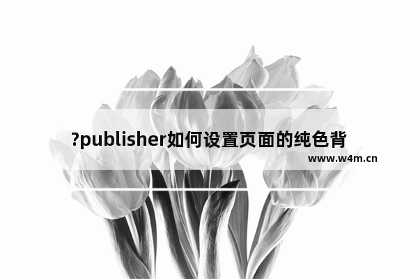 ?publisher如何设置页面的纯色背景