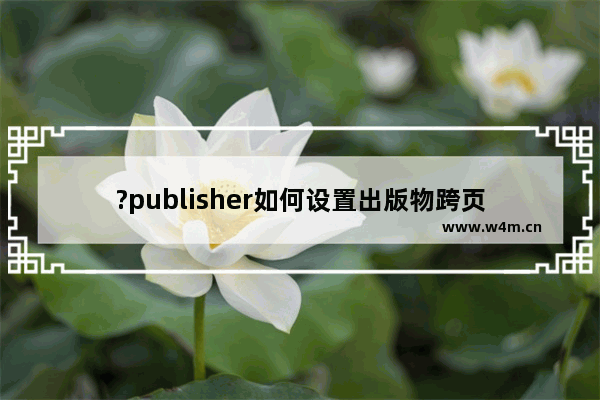 ?publisher如何设置出版物跨页