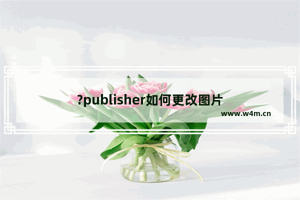 ?publisher如何更改图片