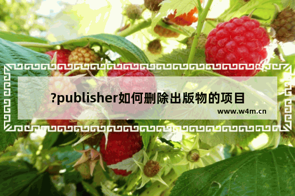 ?publisher如何删除出版物的项目符号