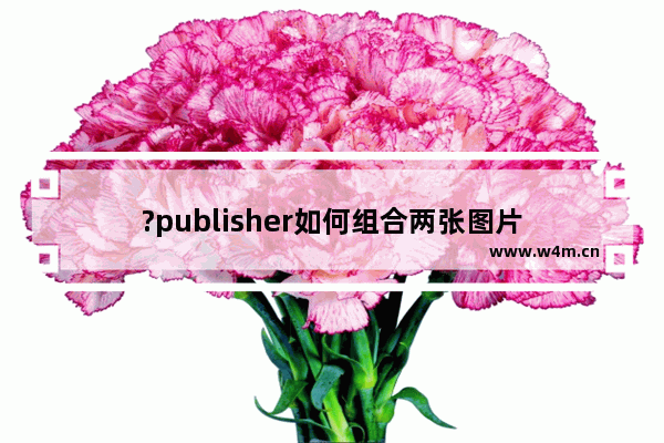 ?publisher如何组合两张图片