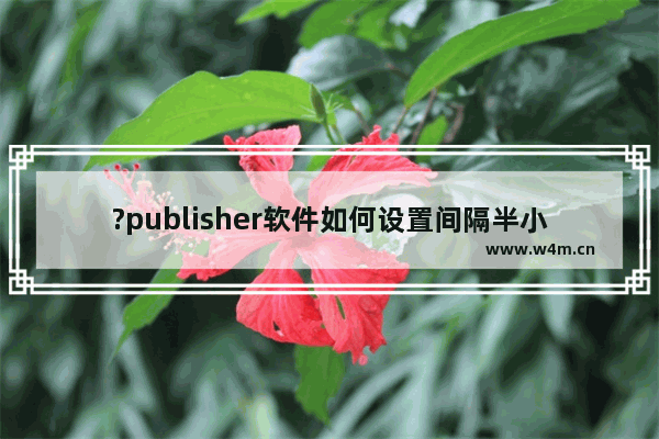 ?publisher软件如何设置间隔半小时自动保存文件