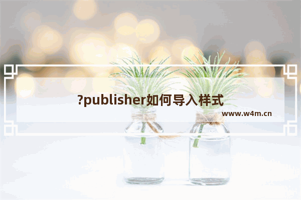 ?publisher如何导入样式