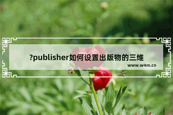 ?publisher如何设置出版物的三维效果