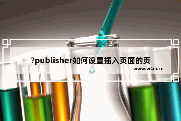 ?publisher如何设置插入页面的页数