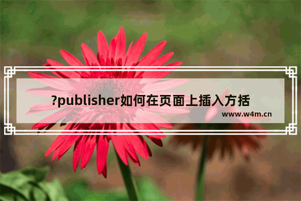 ?publisher如何在页面上插入方括号标题