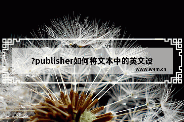 ?publisher如何将文本中的英文设置为大写