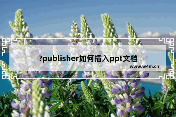 ?publisher如何插入ppt文档