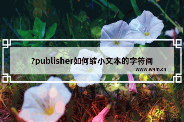 ?publisher如何缩小文本的字符间距