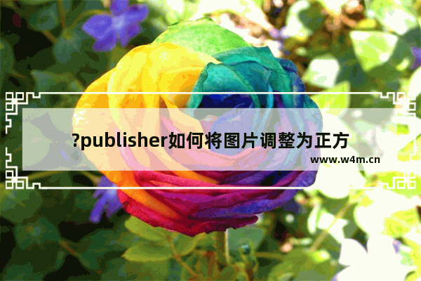 ?publisher如何将图片调整为正方形