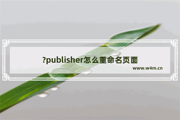 ?publisher怎么重命名页面