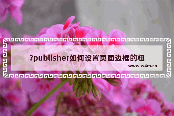 ?publisher如何设置页面边框的粗细