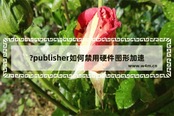 ?publisher如何禁用硬件图形加速