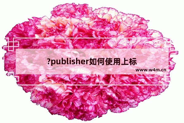 ?publisher如何使用上标