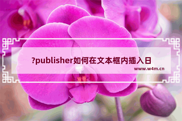 ?publisher如何在文本框内插入日期和时间