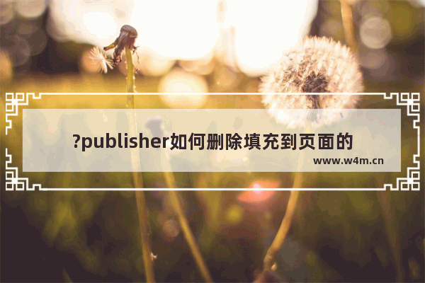 ?publisher如何删除填充到页面的图片