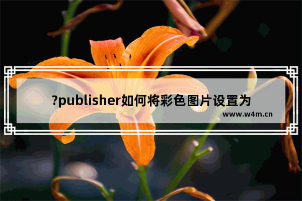 ?publisher如何将彩色图片设置为灰色