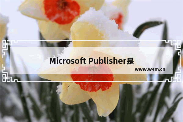 Microsoft Publisher是什么？