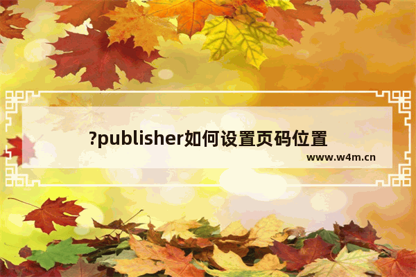 ?publisher如何设置页码位置