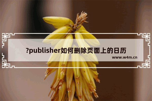 ?publisher如何删除页面上的日历